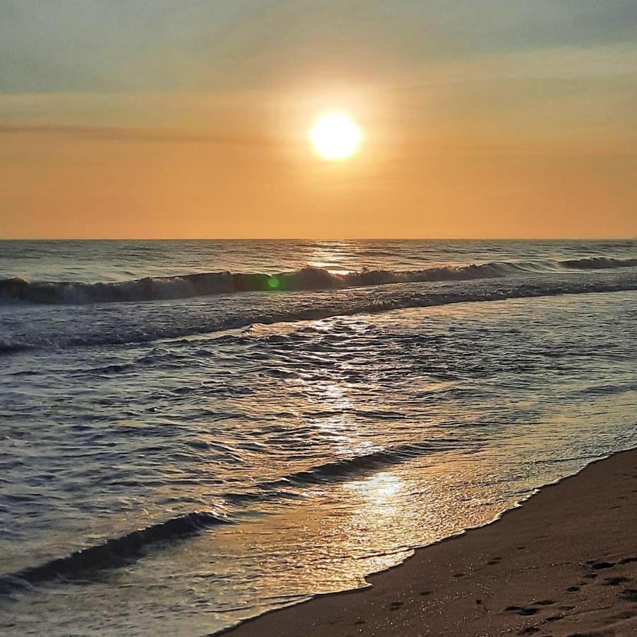 مبيت وإفطار Rincon Del Mar بالومينو المظهر الخارجي الصورة